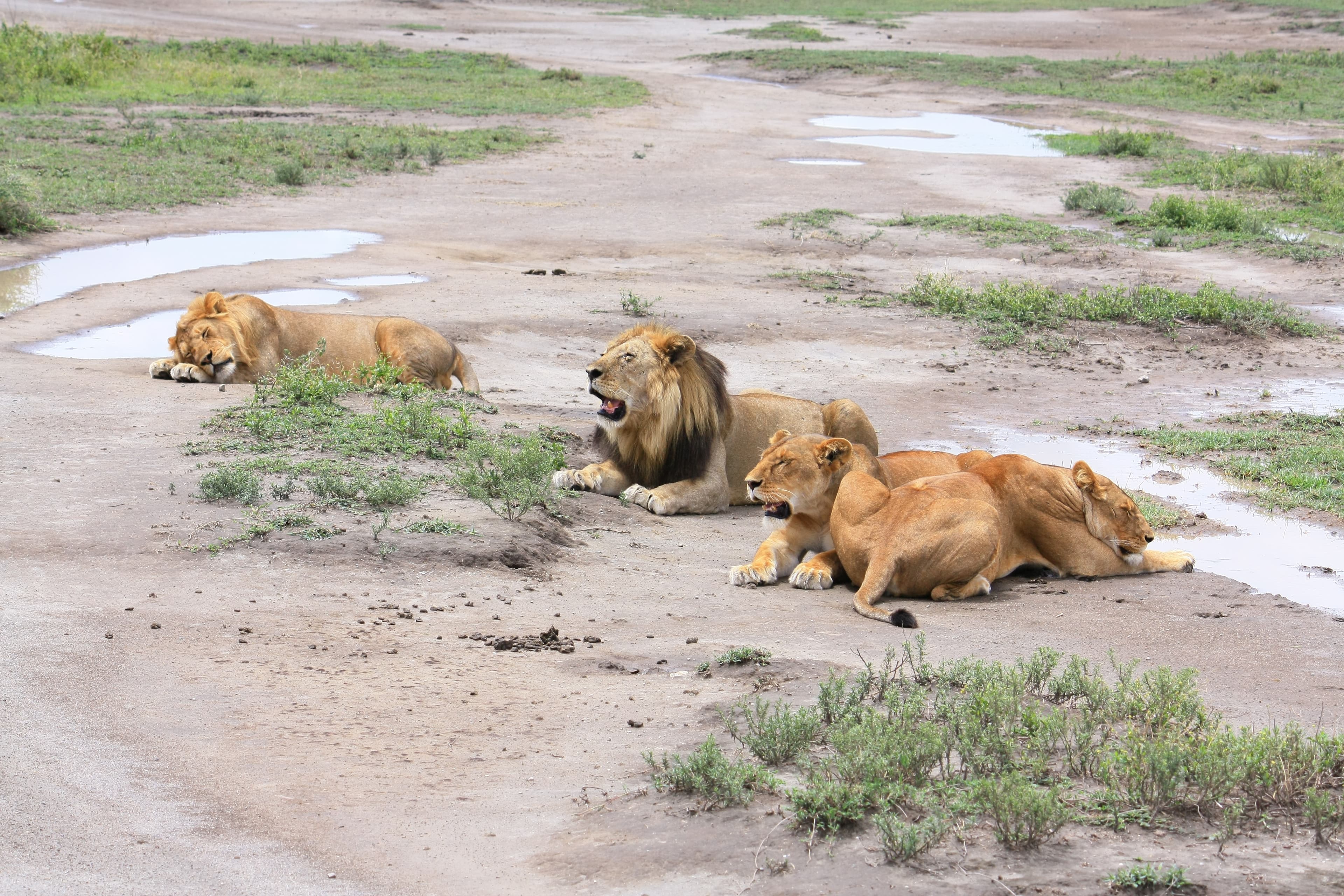 Into the Heart of the Crater