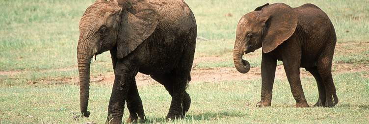 7-Day Tanzania Budget Adventure Safari