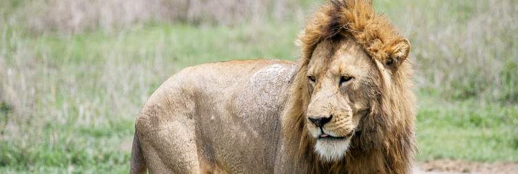 6-Day Amazing Budget Wildlife & Culture Experience Tour