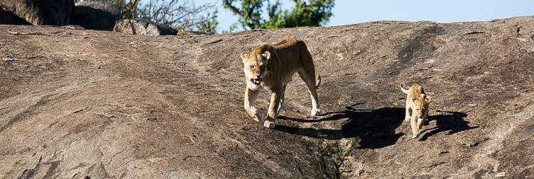 6-Day Wildlife Adventure and Cultural Safari