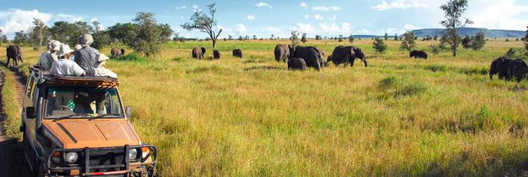 6-Day Amazing Tanzania Big Cats Safari